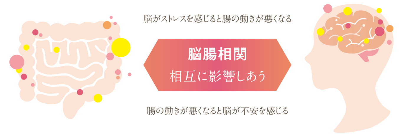 脳と腸が相互に影響しあう「脳腸相関」
