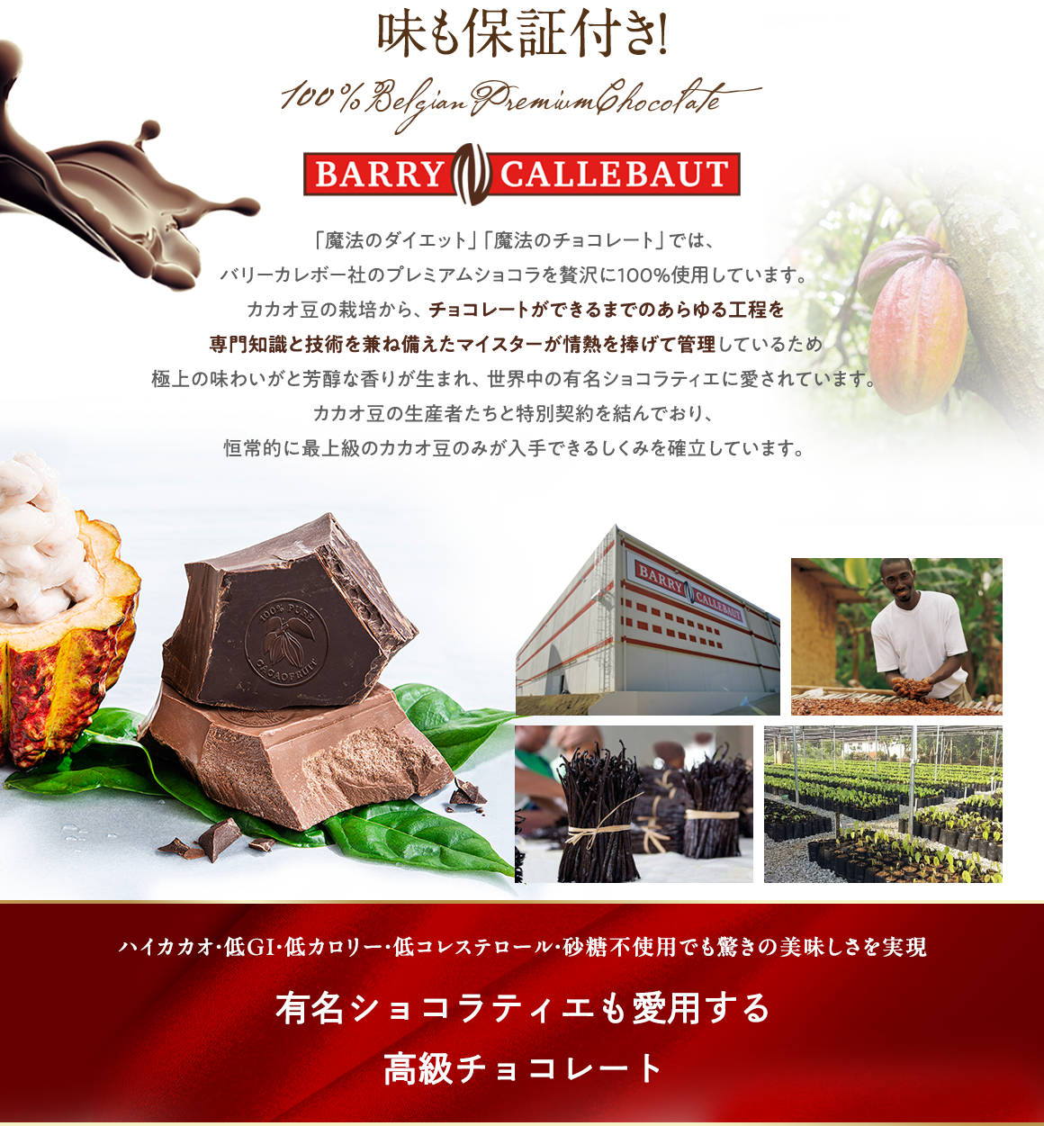 ハイカカオ・低GI・低カロリー・低コレステロール・砂糖不使用でも驚きの美味しさを実現！有名ショコラティエも愛用する高級チョコレート「バリーカレボー社」プレミアムチョコレートを原料に100％使用