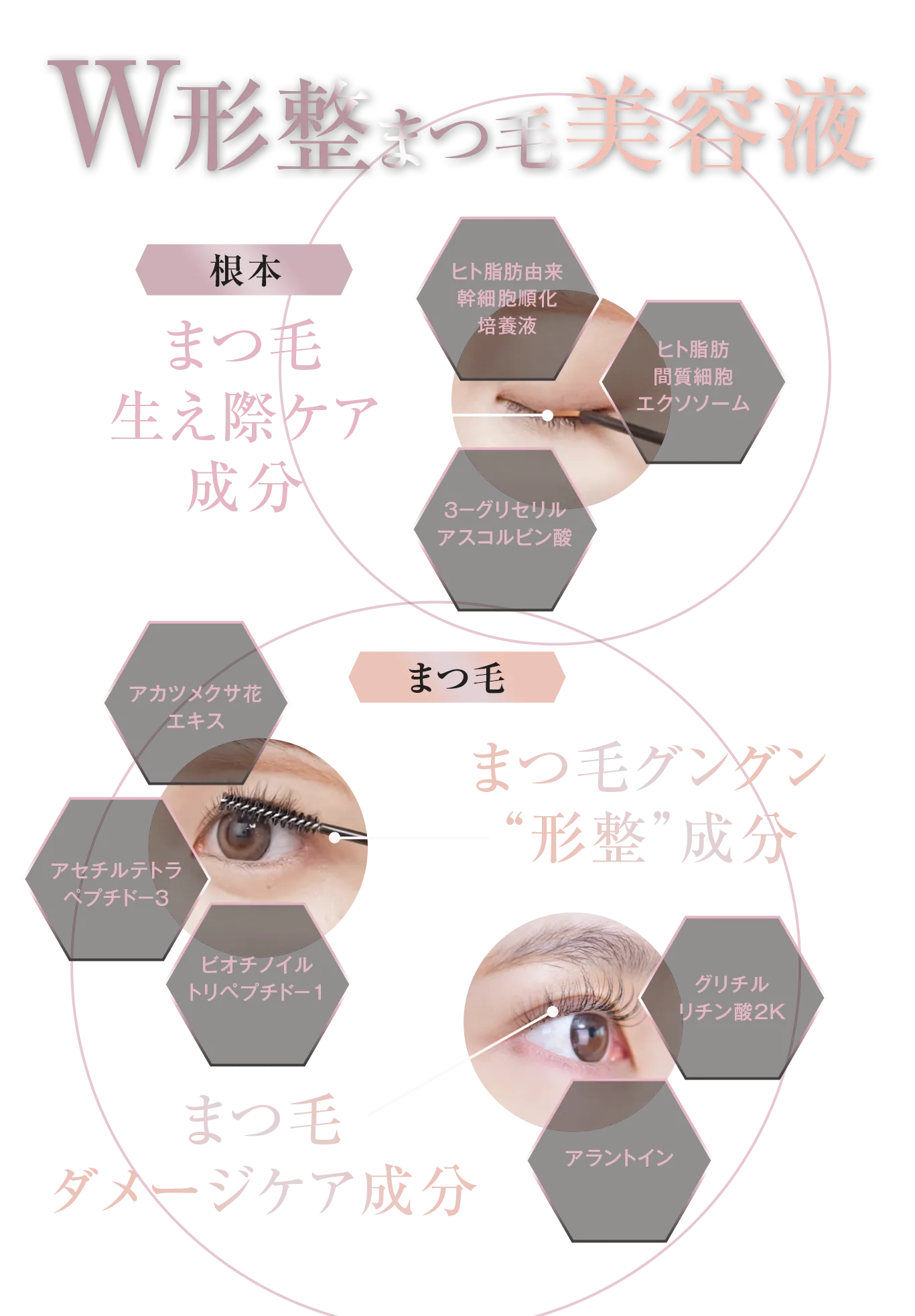 形整まつ毛美容液【まつ毛生え際ケア成分】ヒト脂肪由来幹細胞順化培養液/ヒト脂肪間質細胞エクソソーム/3-グリセリルアスコルビン酸【まつ毛グングン形整成分】アカツメクサ花エキス/アセチルテトラペプチド-3/ビオチノイルトリペプチド-1【まつ毛ダメージケア成分】グリチルリチン酸2K/アラントイン