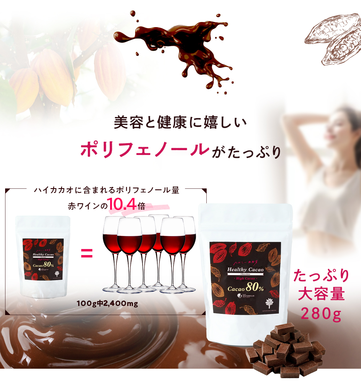 美容と健康にうれしいポリフェノールがたっぷり！赤ワインの10.4倍高ポリフェノールチョコレート 大容量345ｇ