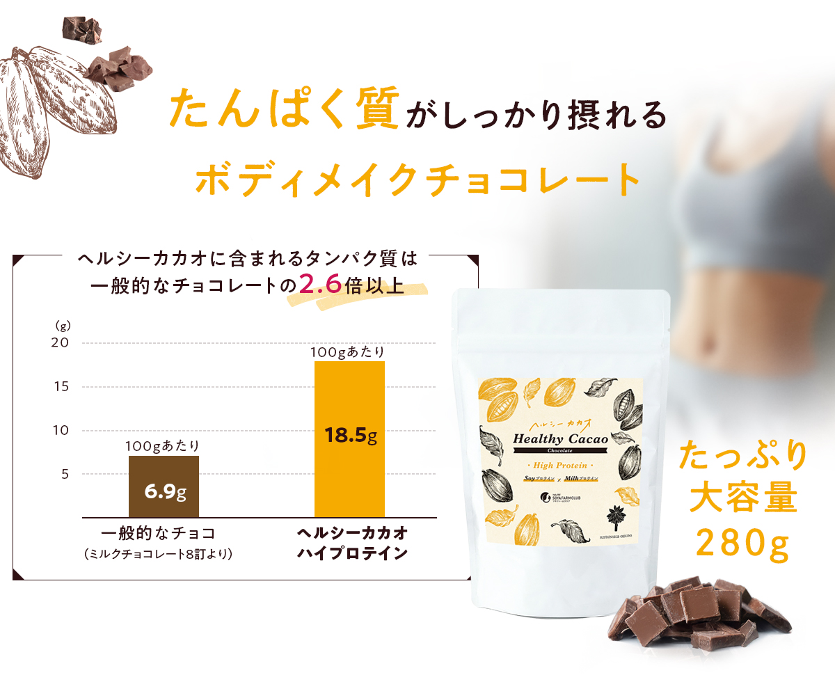 たんぱく質がしっかり摂れるボディメイクチョコレート 大容量345ｇ