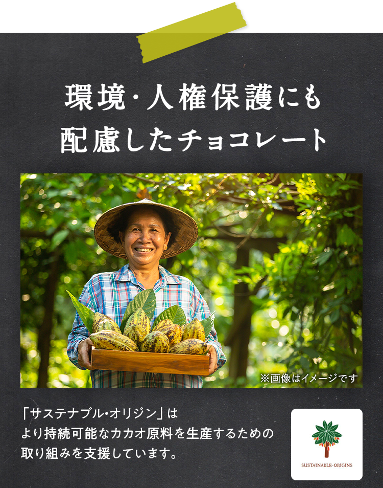 環境・人権保護にも配慮したチョコレート