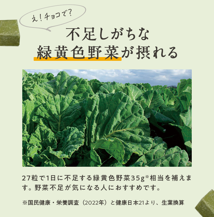 不足しがちな緑黄色野菜が摂れる！（27粒で１日に不足する緑黄色野菜35g相当を補えます。野菜不足が気になる方におすすめです。