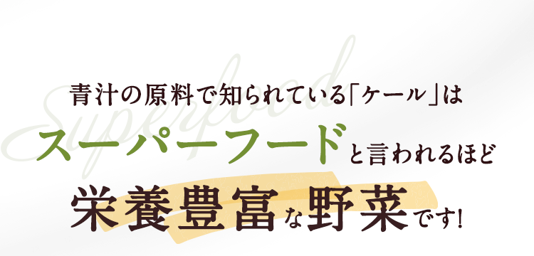 青汁の原料で知られている「ケール」はスーパーフードと言われるほど栄養豊富な野菜です！
