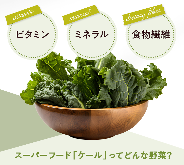 ビタミン・ミネラル・食物繊維