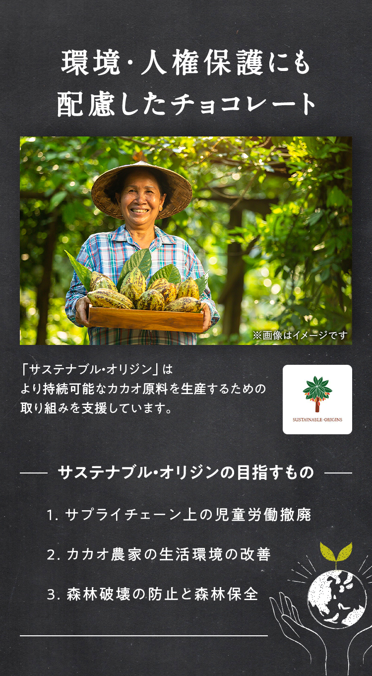 環境・人権保護にも配慮したチョコレート
