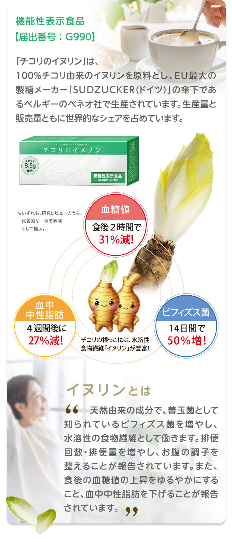機能性表示食品【届出番号：G990】「チコリのイヌリン」は、100％チコリ由来のイヌリンを原料とし、EU最大の製糖メーカー「SUDZUCKER（ドイツ）」の傘下であるベルギーのベネオ社で生産されています。生産量と販売量ともに世界的なシェアを占めています。