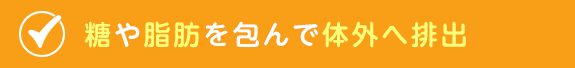 糖や脂肪を包んで体外へ排出