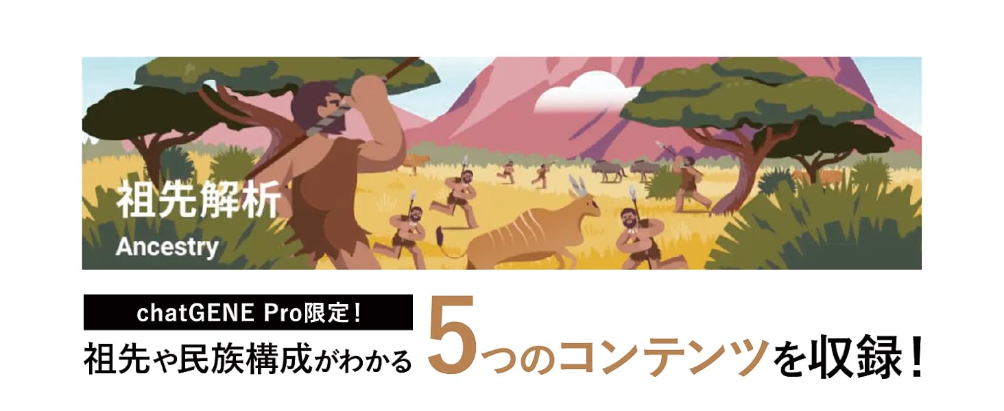 chatGENE Pro限定！祖先や民族構成が分かる5つのコンテンツを収録！数十万年前の民族からのDNA解析により自分のルーツを知る