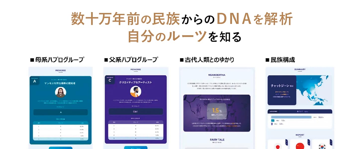 母系ハプログループ/父系ハプロｇループ/古代人類とのゆかり/民族構成
