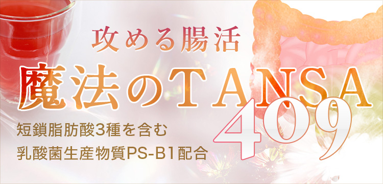 魔法のTANSA 2本セットダイエットサプリ - ダイエットサプリ