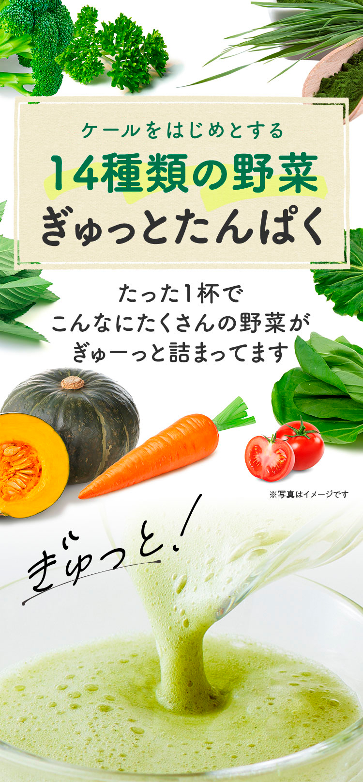 ケールをはじめとする14種類の野菜