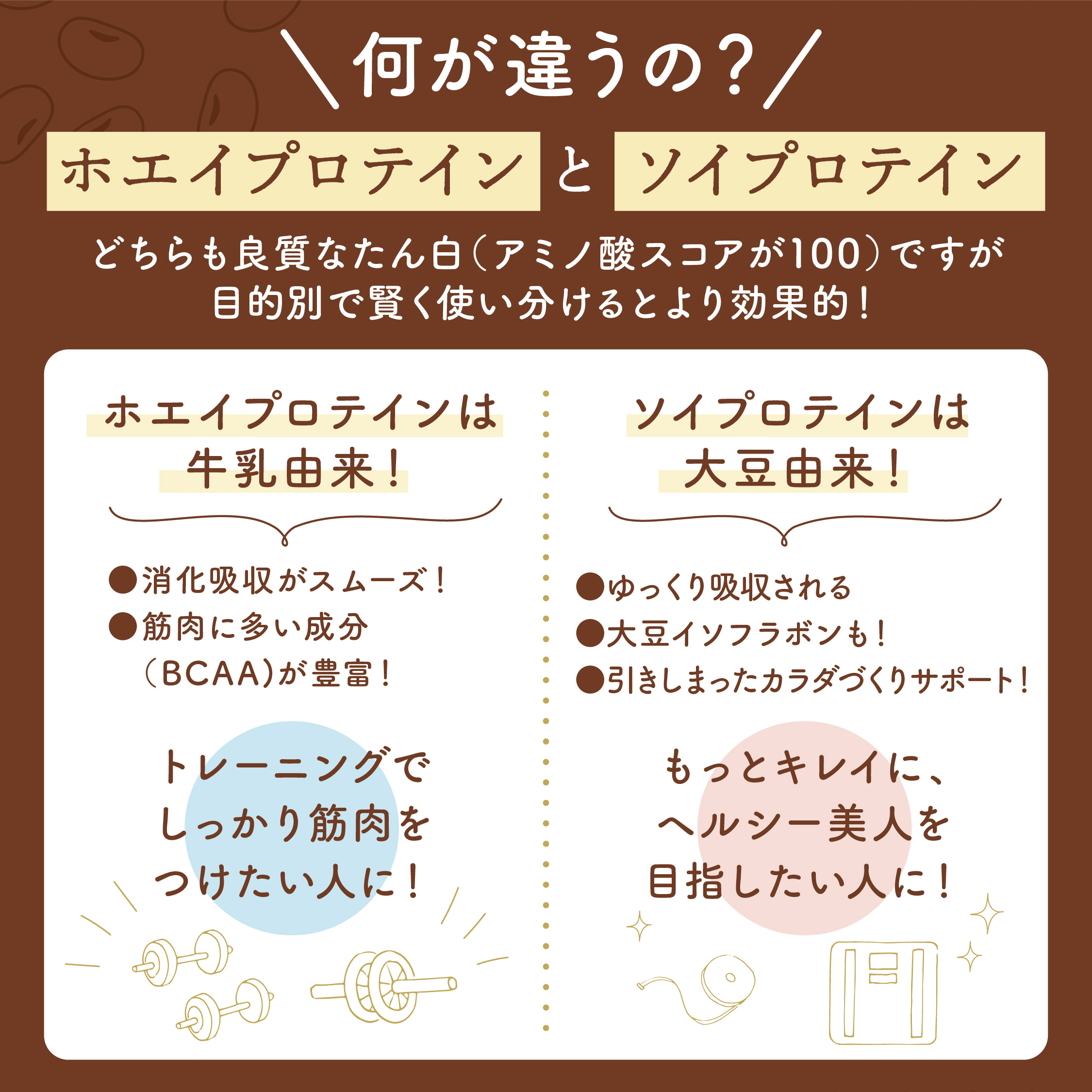 保衛プロテインとソイプロテインの違い