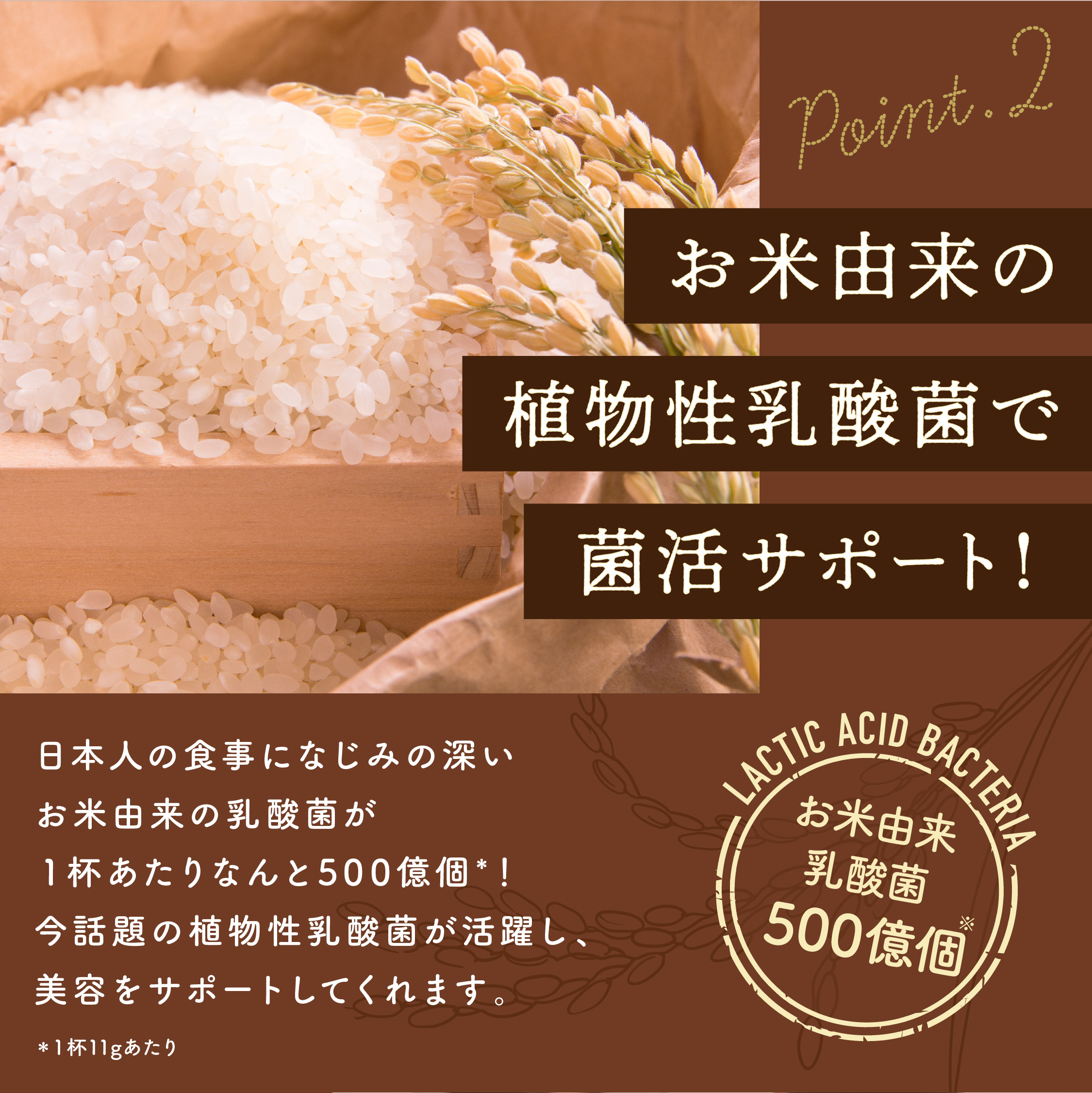お米由来の食物性乳酸菌で菌活サポート