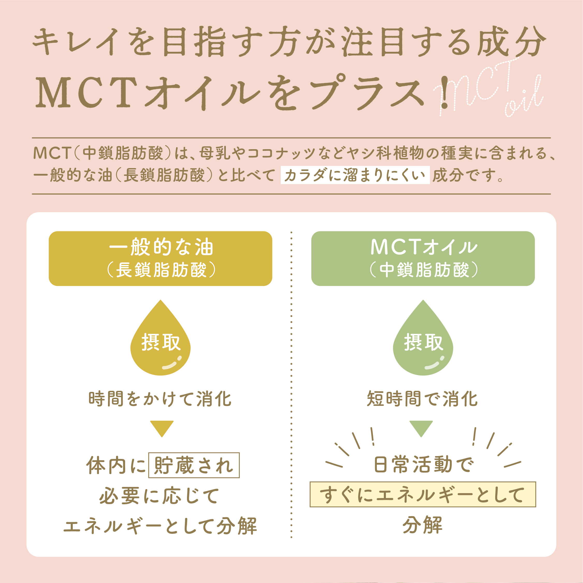 MCTオイル（中鎖脂肪酸）をプラス""