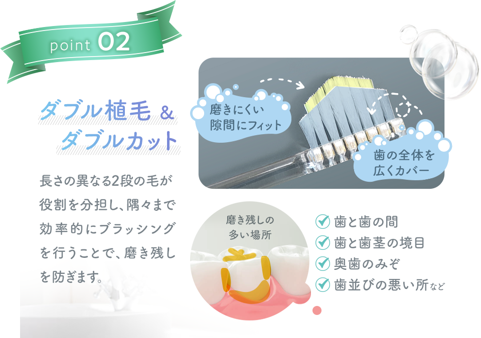 奇跡の歯ブラシPoint02【ダブル植毛 & ダブルカット】長さの異なる2段の毛が役割を分担し、隅々まで効率的にブラッシングを行うことで、磨き残しを防ぎます。