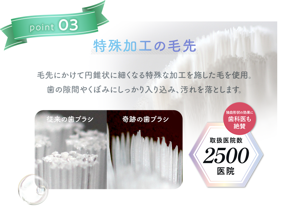 奇跡の歯ブラシPoint03【特殊加工の毛先】毛先にかけて円錐状に細くなる特殊な加工を施した毛を使用。歯の隙間やくぼみにしっかり入り込み、汚れを落とします。