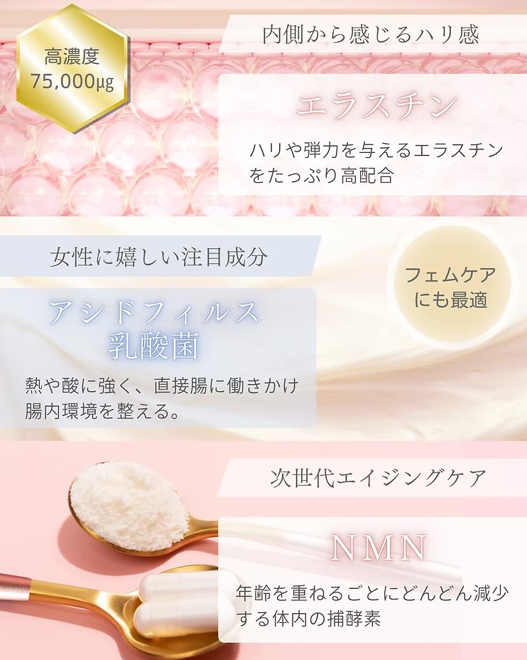 エラスチン/アシドフィルス乳酸菌/NMN