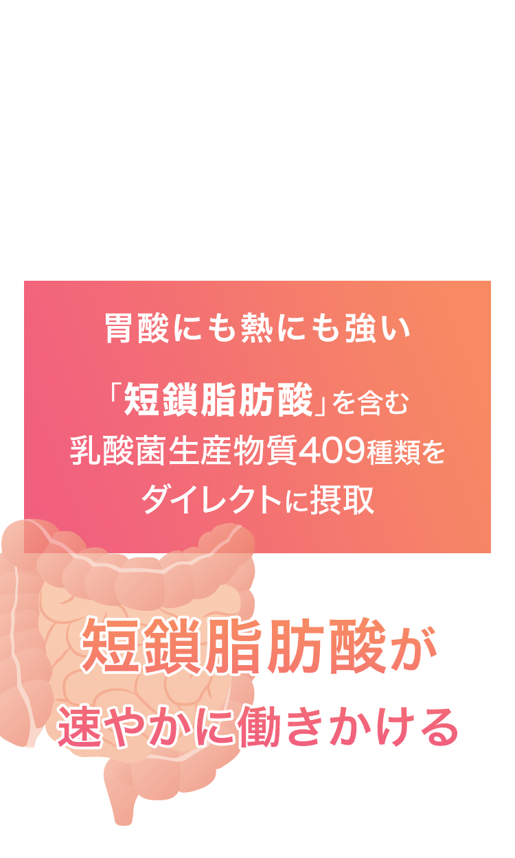 胃酸にも熱にも強い「短鎖脂肪酸」を含む乳酸菌生産物質409種類をダイレクトに摂取！短鎖脂肪酸が速やかに働きかける