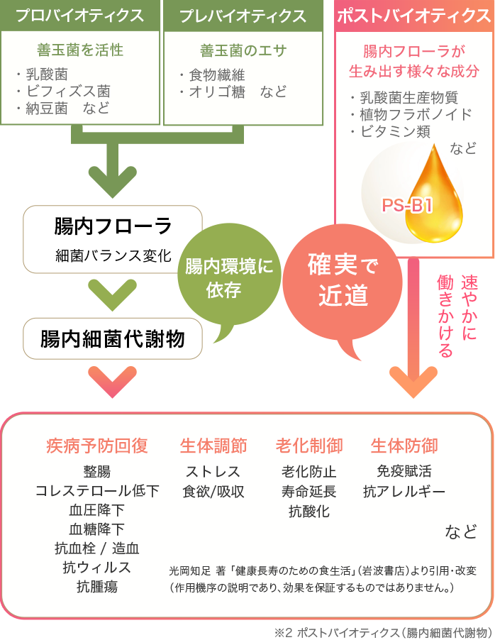 バイオジェニックスは、腸内フローラが生み出す様々な成分を直接取り込み身体へ速やかに働きかける