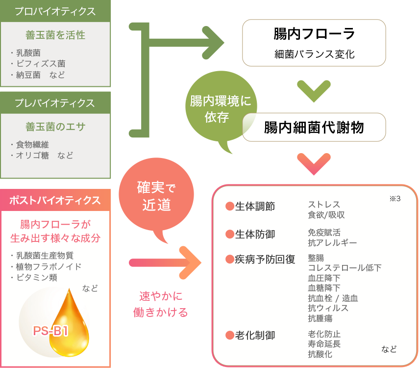 バイオジェニックスは、腸内フローラが生み出す様々な成分を直接取り込み身体へ速やかに働きかける