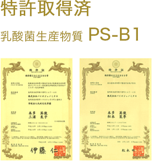乳酸菌産生物質PS-B1 特許取得済