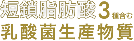 短鎖脂肪酸3種類を含む乳酸菌生産物質