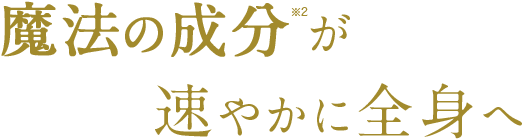 魔法の成分が速やかに全身へ