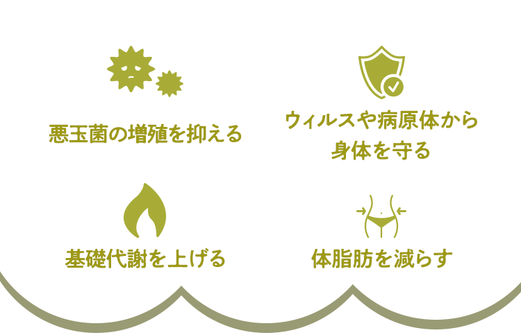 ➀腸の蠕動運動を促し便秘予防 ②悪玉菌の増殖を抑える ③免疫力UP ④脂肪蓄積の抑制・脂質代謝促進 ⑤ミネラルの吸収促進 ⑥大腸や筋肉のエネルギー源