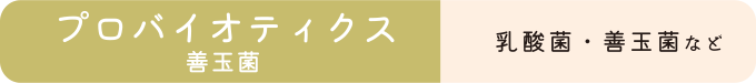 プロバイオティクス（善玉菌）乳酸菌・善玉菌など